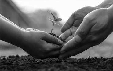 Stewardship